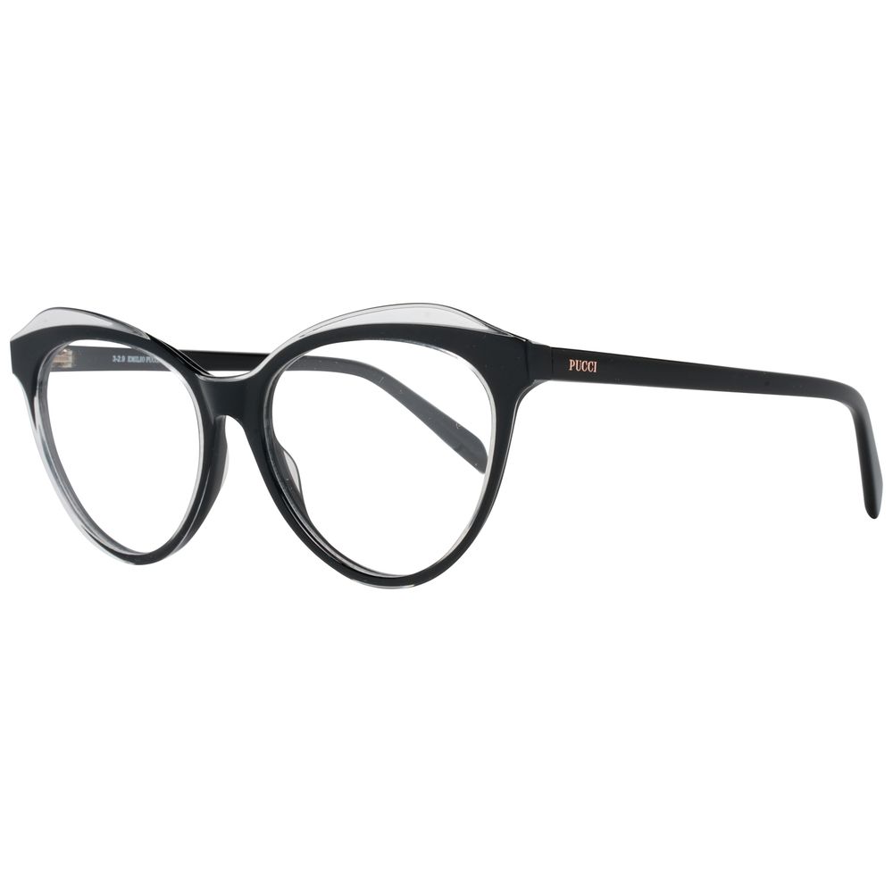 Black Plastic Glasses (Frames)