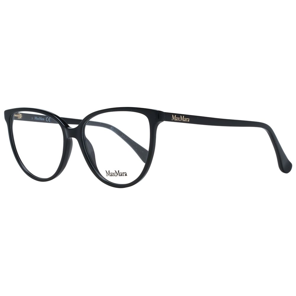 Black Plastic Glasses (Frames)