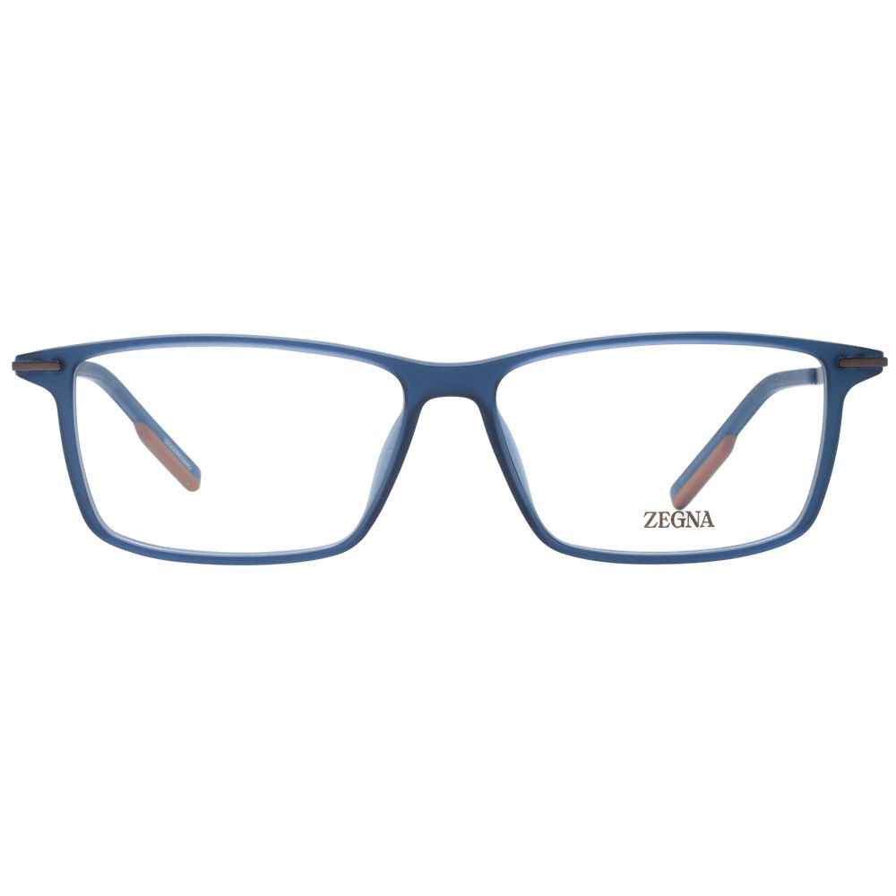 Blue Plastic Glasses (Frames)