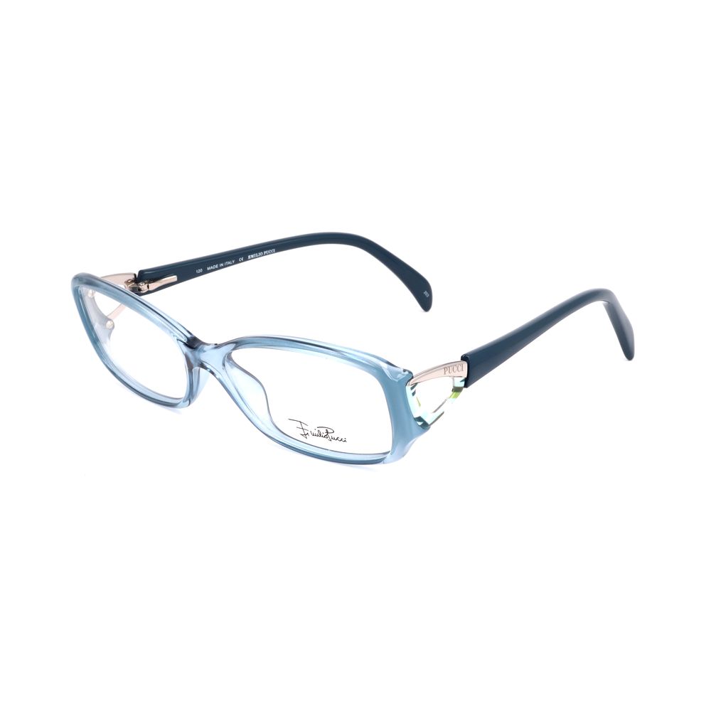Blue Plastic Glasses (Frames)