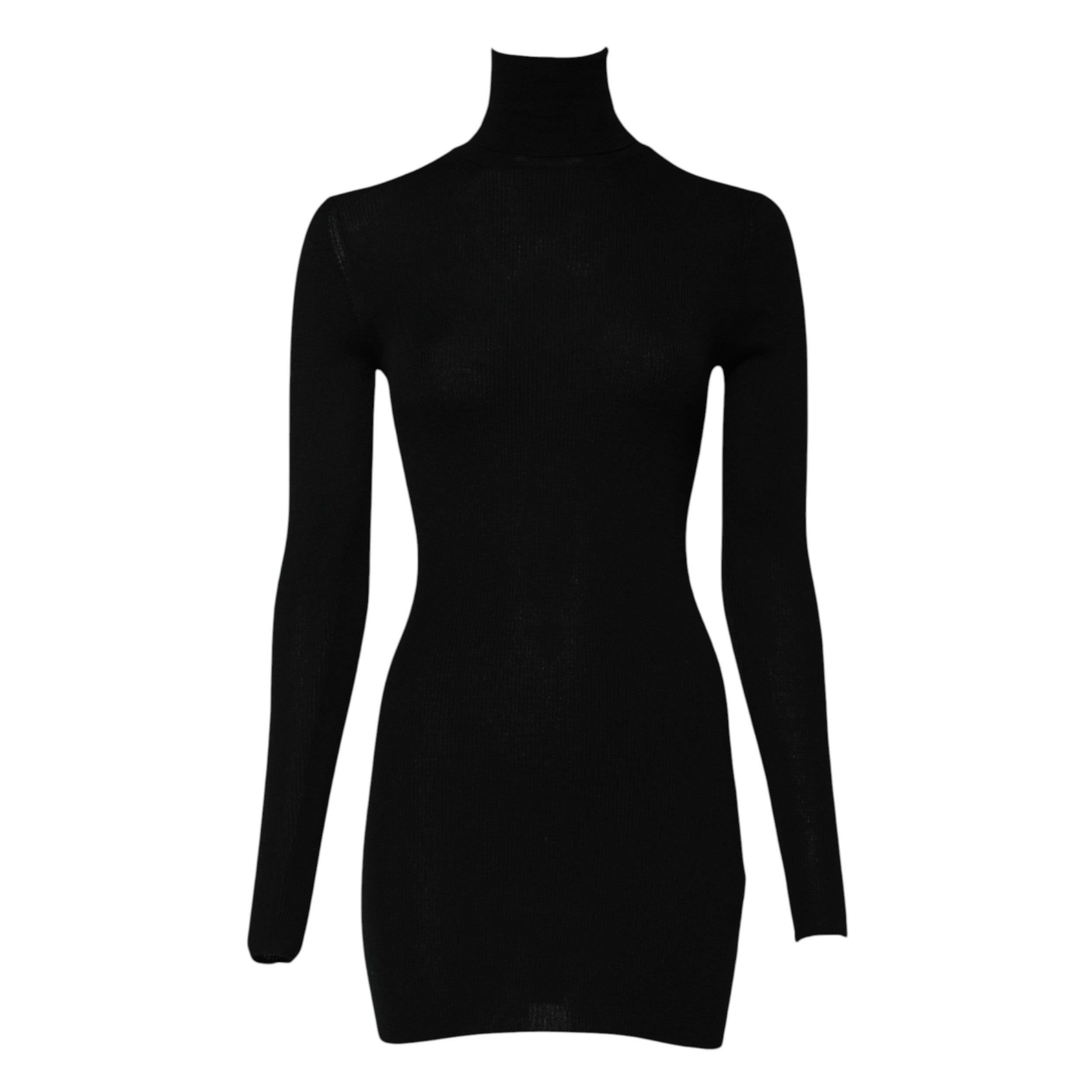 Black Long Sleeves Turtle Neck Mini Dress