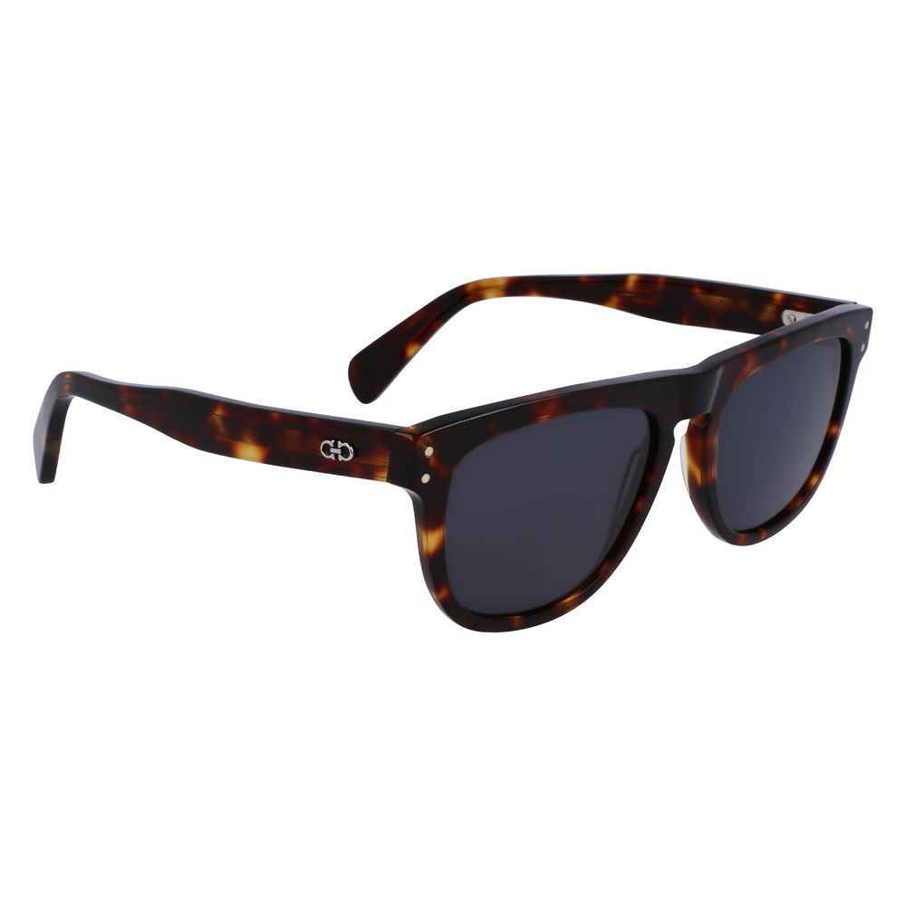 Brown Acetate Sunglasses