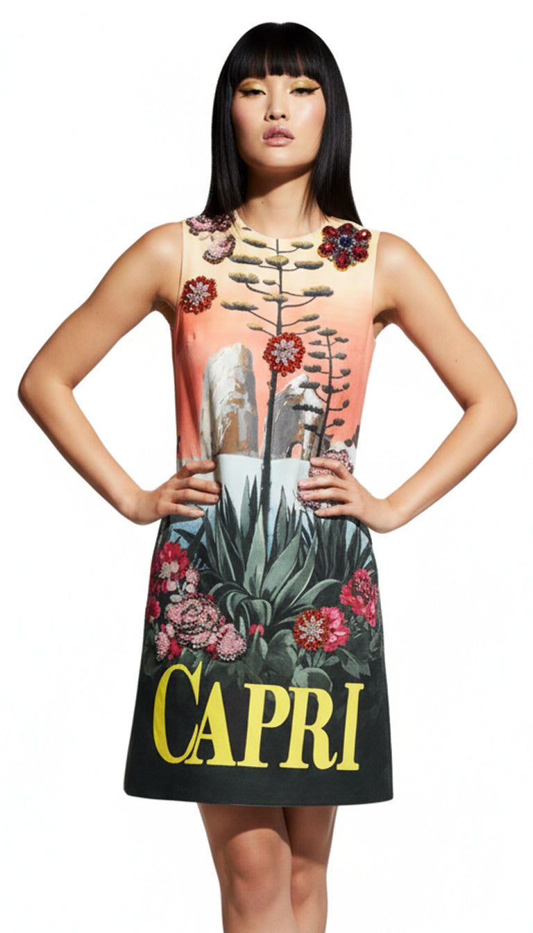 Multicolor Crystal Embellished A-line Mini Dress