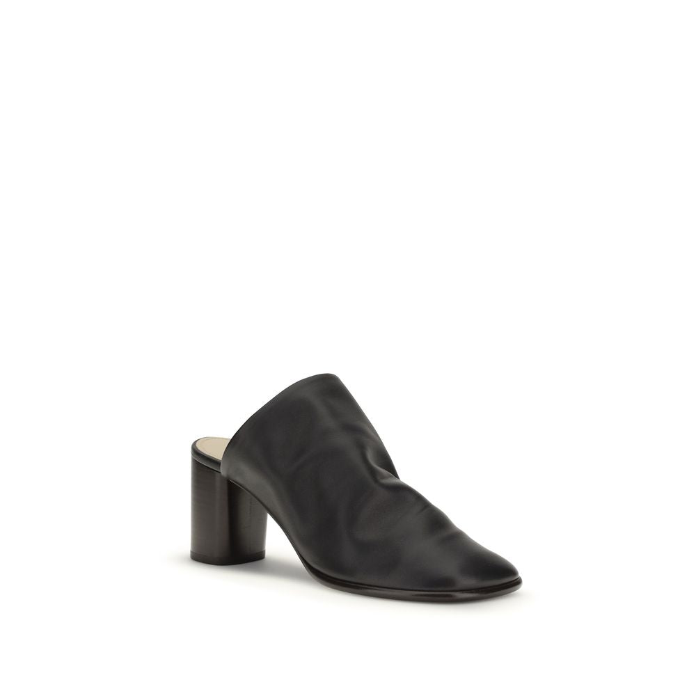 Black Lamb Ovis Aries Aries Mules