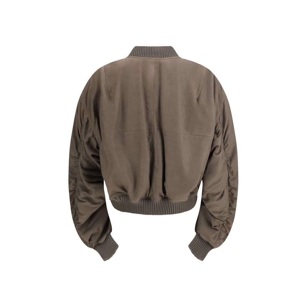 Gray Lamb Ovis Aries Aries Bomber