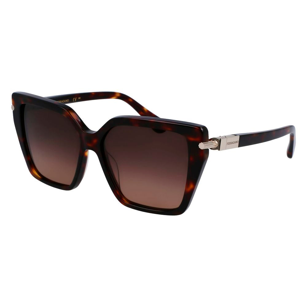 Brown Acetate Sunglasses