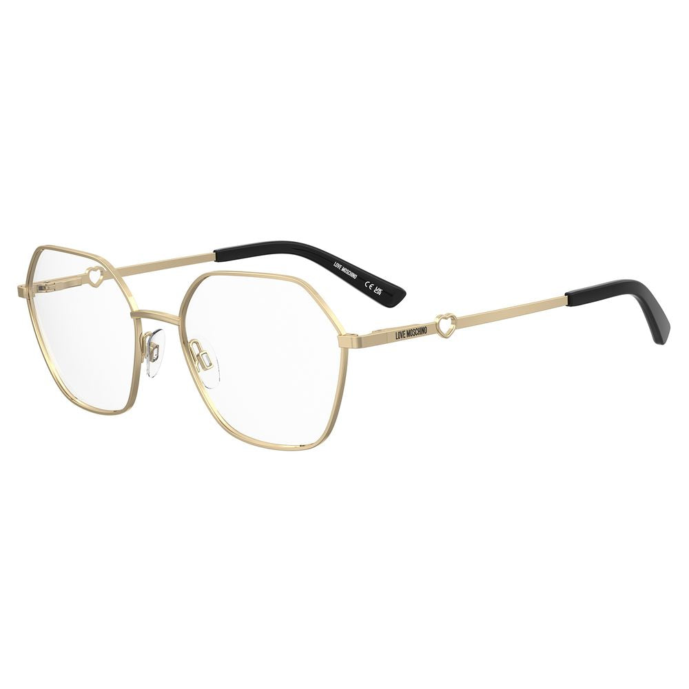 Gold Metal Glasses (Frames)