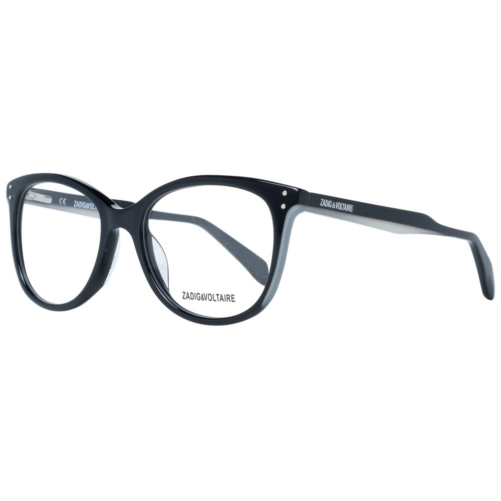 Black Plastic Glasses (Frames)