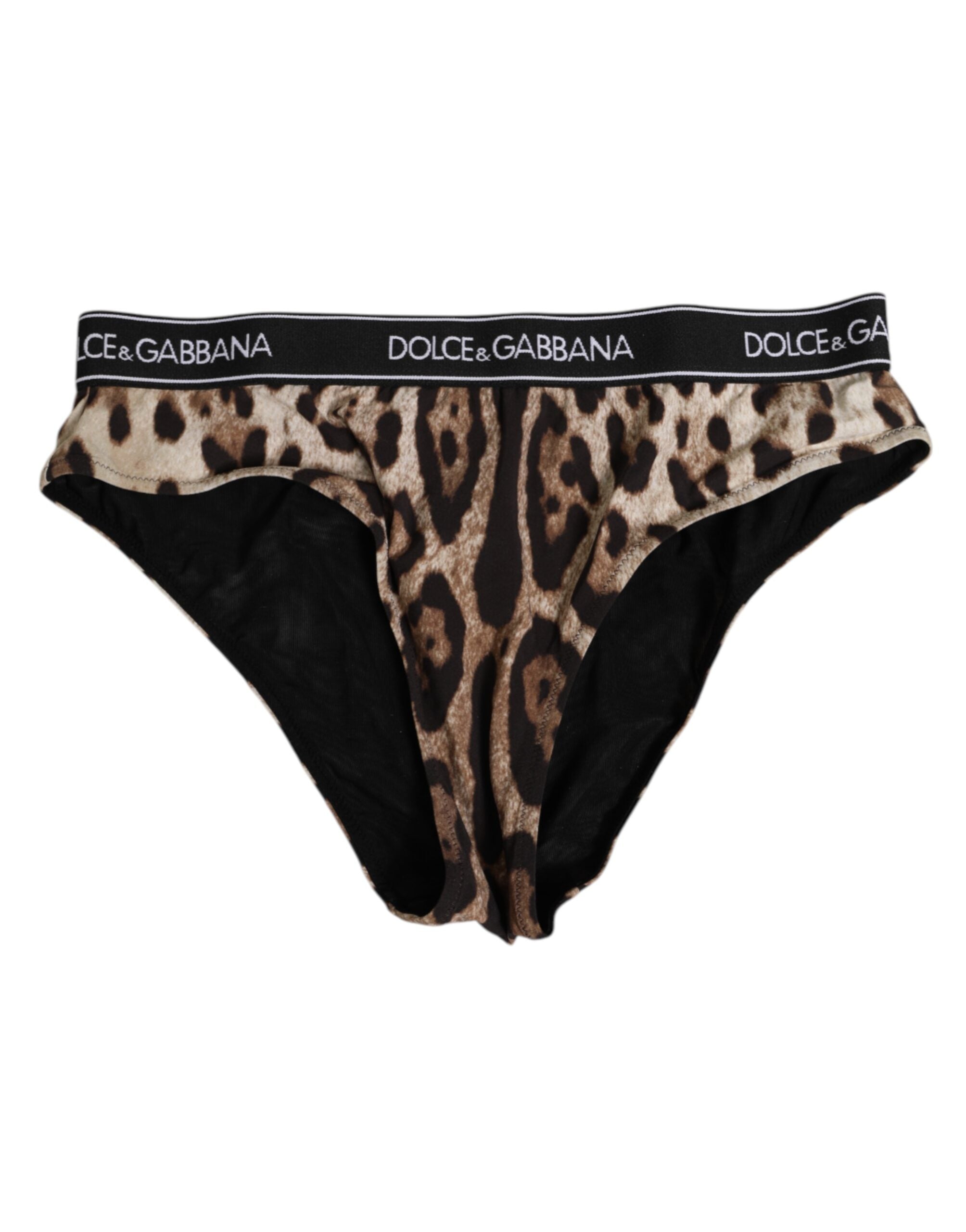 Brown Leopard Nylon High Waist Panty Underwear