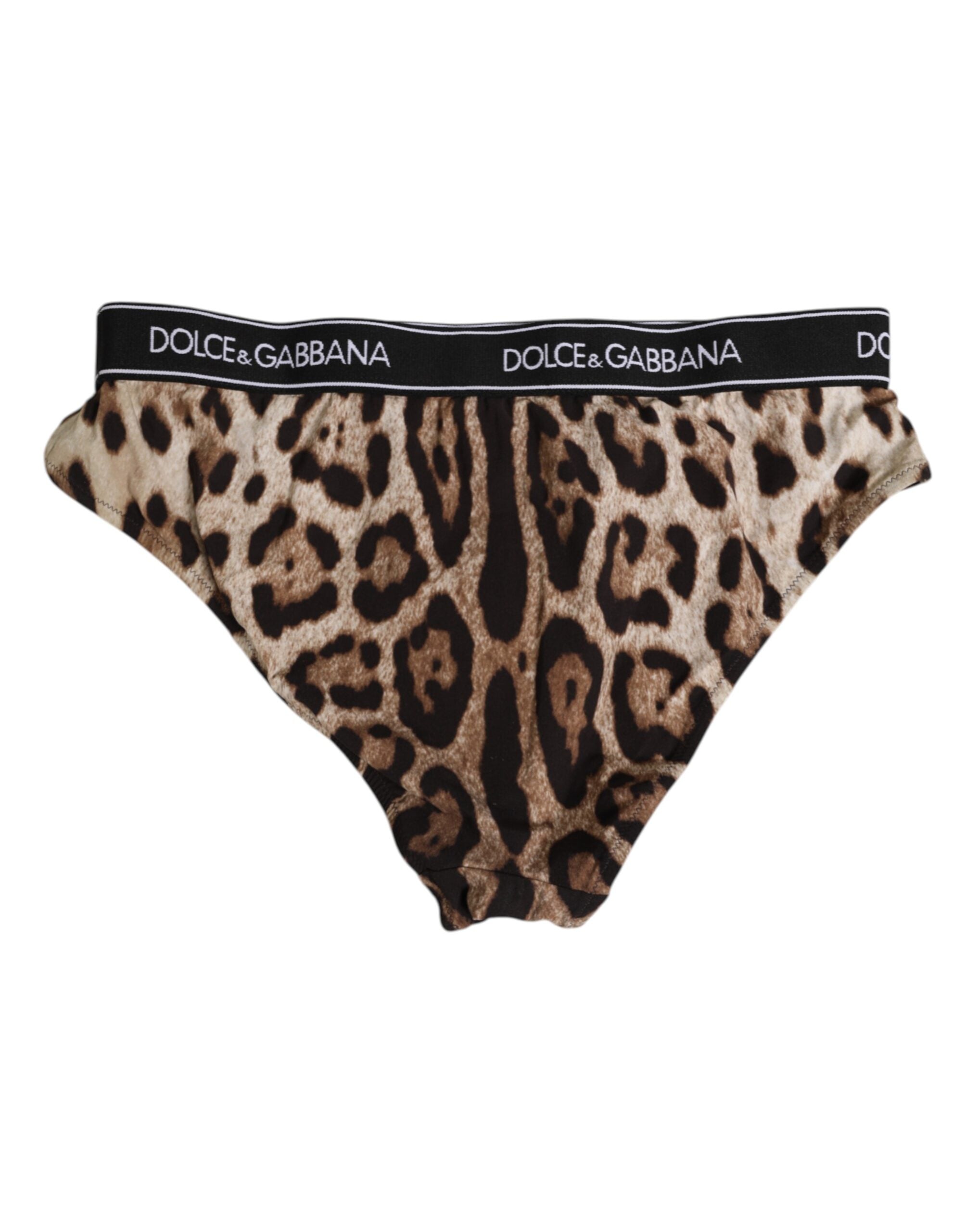 Brown Leopard Nylon High Waist Panty Underwear